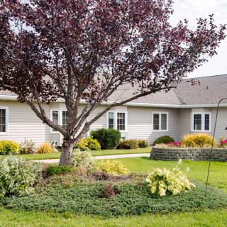 A well-landscaped yard with a tree and shrubs in front of a house.