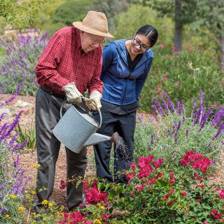 An elderly person waters flowers in a garden, assisted by another person.