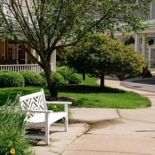 A serene garden scene with a white bench and lush greenery.