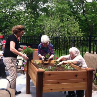 A group of people gardening together in a raised bed outdoors.
