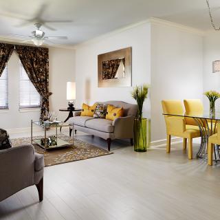 A modern living and dining space featuring a gray sofa, yellow dining chairs, decorative plants, and contemporary decor.