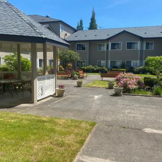 A view of a landscaped garden with a gazebo and a residential building in the background.