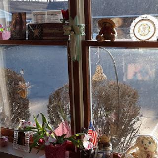 A cozy window scene featuring decorations, plants, and a touch of sunlight.
