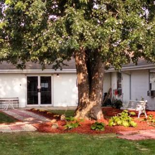 A quaint house with a large tree and a well-maintained garden area.