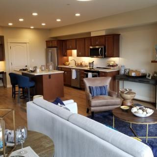 A modern open floor plan living room and kitchen with stylish furnishings and decor.