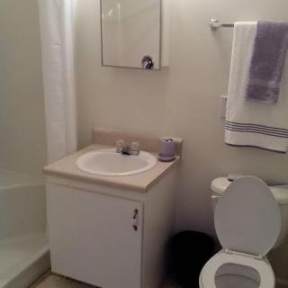 A small bathroom with a sink, toilet, and shower.