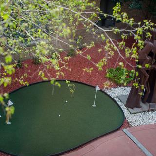 A small outdoor putting green surrounded by greenery and trees.