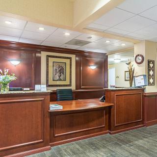 A welcoming office lobby with a wooden reception desk and decorative elements.
