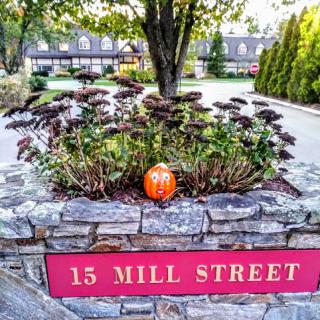A charming autumn scene featuring a pumpkin nestled among flowers, with a clear view of the street sign at 15 Mill Street.