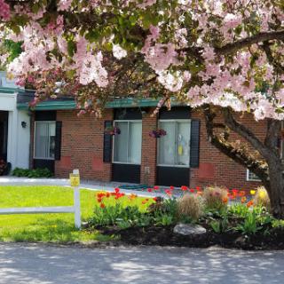 A picturesque view of a house surrounded by blooming flowers and greenery in spring.