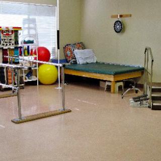 A well-equipped physical therapy room featuring exercise balls, a bed, and parallel bars for rehabilitation.
