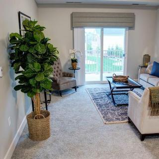 A cozy living room featuring a large indoor plant, seating area with a sofa and chair, coffee table, and a window with curtains overlooking the outside.