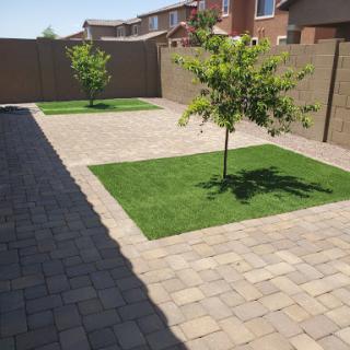 A well-maintained backyard featuring a paver patio and two small trees surrounded by green grass.