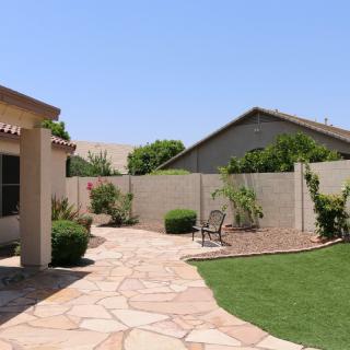 A sunny backyard with a stone patio, small lawn, and various plants lining the walls.