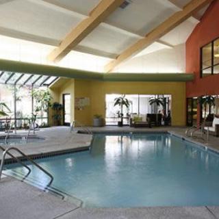 An indoor swimming pool area designed for relaxation and leisure.