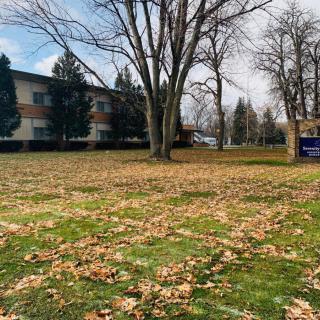 A grassy yard covered with autumn leaves in front of a building.