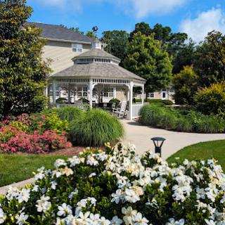 A serene garden featuring a charming gazebo surrounded by vibrant flowers and lush greenery.