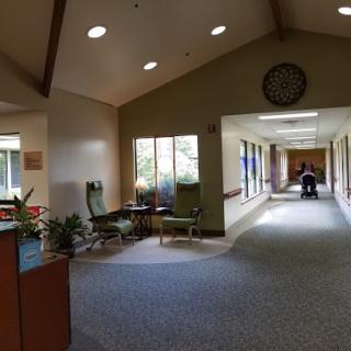 A serene waiting area in a medical facility with comfortable seating and natural lighting.