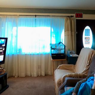 A cozy living room with a sofa and television next to a large window with curtains, featuring a bird cage and an adjacent door.