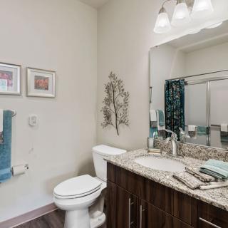 A modern bathroom with a granite countertop, mirror, and decorative elements.