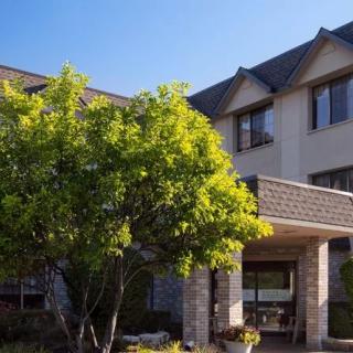 A sunny day view of a building entrance with a tree in the foreground.