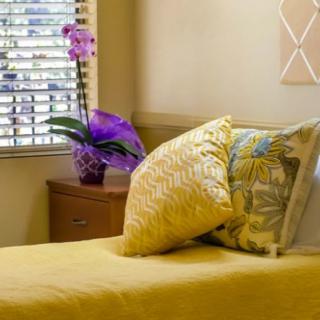 A cozy bedroom with yellow bedding and decorative pillows beside a window with an orchid in a flower pot.