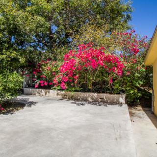 A sunny garden with vibrant flowers and lush trees surrounding a concrete patio.