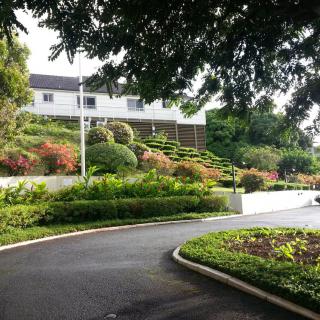 A scenic view of a landscaped garden with a winding pathway leading to a house.