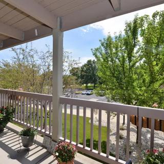 A sunny view from a balcony overlooking trees and a yard.
