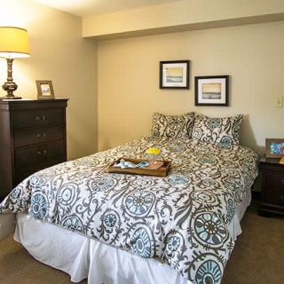 A cozy bedroom with a neatly made bed, elegant patterned bedding, and soft lighting from a nearby lamp.