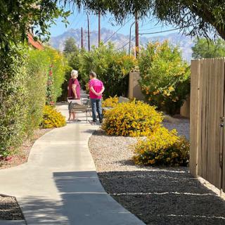 Two people walking along a sunny pathway surrounded by greenery and colorful flowers.
