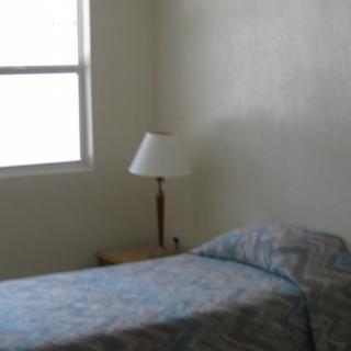A minimalist bedroom with a single bed, bedside table, and lamp near a window.