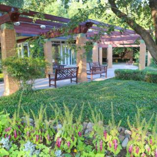 A tranquil garden setting with a pergola and benches surrounded by lush greenery.
