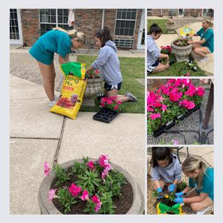 Volunteers work together planting vibrant flowers in a community garden.