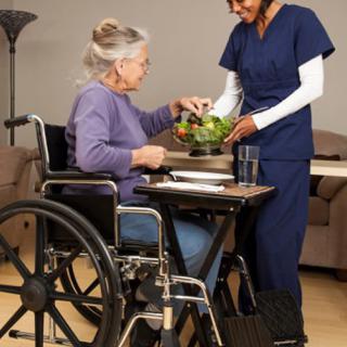 A nurse assists an elderly woman in a wheelchair with her meal.