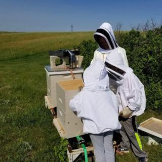 Beekeepers tending to a hive in a sunny field.