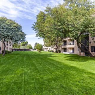 A well-maintained lawn surrounded by apartment buildings and trees on a clear day.