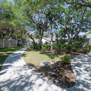 A sunny garden with a winding concrete pathway and lush trees.