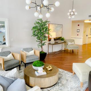 A beautifully designed modern living room featuring elegant furniture, a stylish chandelier, and vibrant greenery.