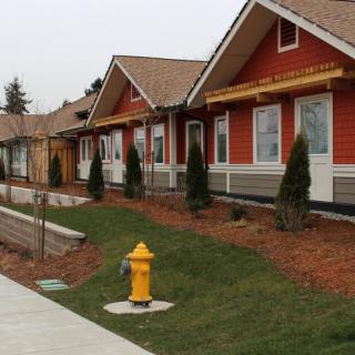 A row of suburban houses with a well-maintained lawn and a fire hydrant on the sidewalk.
