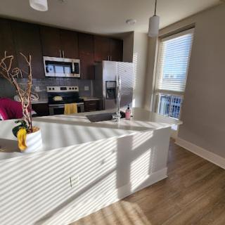 A bright, modern kitchen with sleek appliances and a welcoming atmosphere.