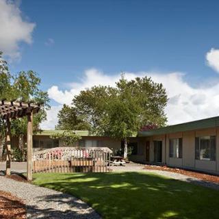 A serene courtyard with green grass, trees, and a building under a clear blue sky.