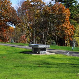 A scenic view of a park during autumn with vibrant fall foliage and lush green grass.