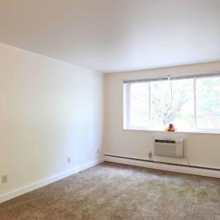 An empty room with white walls, a large window, and carpeted flooring.