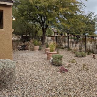A serene outdoor garden space featuring gravel landscaping, various plants, and a cozy atmosphere.