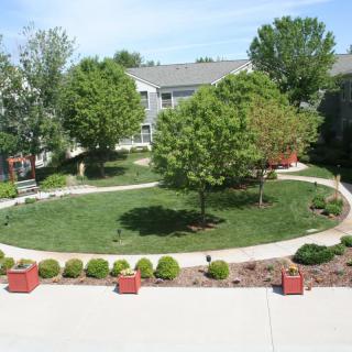 A landscaped garden with trees, a walkway, and neatly arranged bushes.