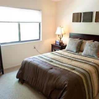 A cozy bedroom with a neatly made bed, bedside lamp, and window.
