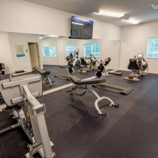 A well-equipped gym with various exercise machines and weights.