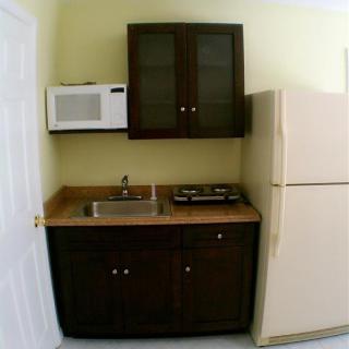 A compact kitchen setup with a microwave, fridge, sink, and cabinets.