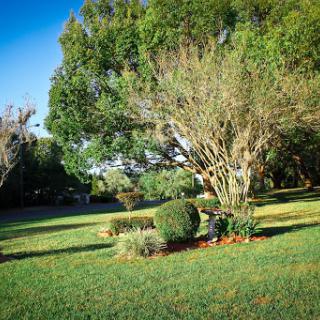 A serene garden landscape featuring lush trees and manicured shrubs.